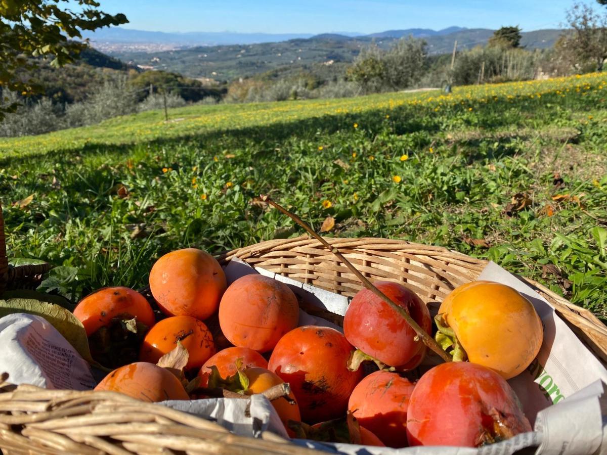 Florence Villa Violetta Bagno a Ripoli Eksteriør bilde