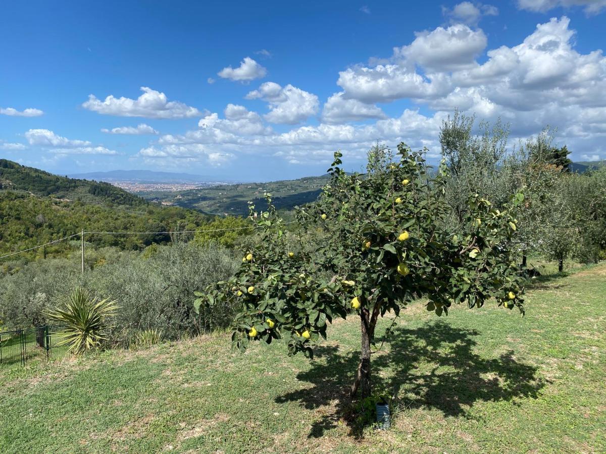 Florence Villa Violetta Bagno a Ripoli Eksteriør bilde