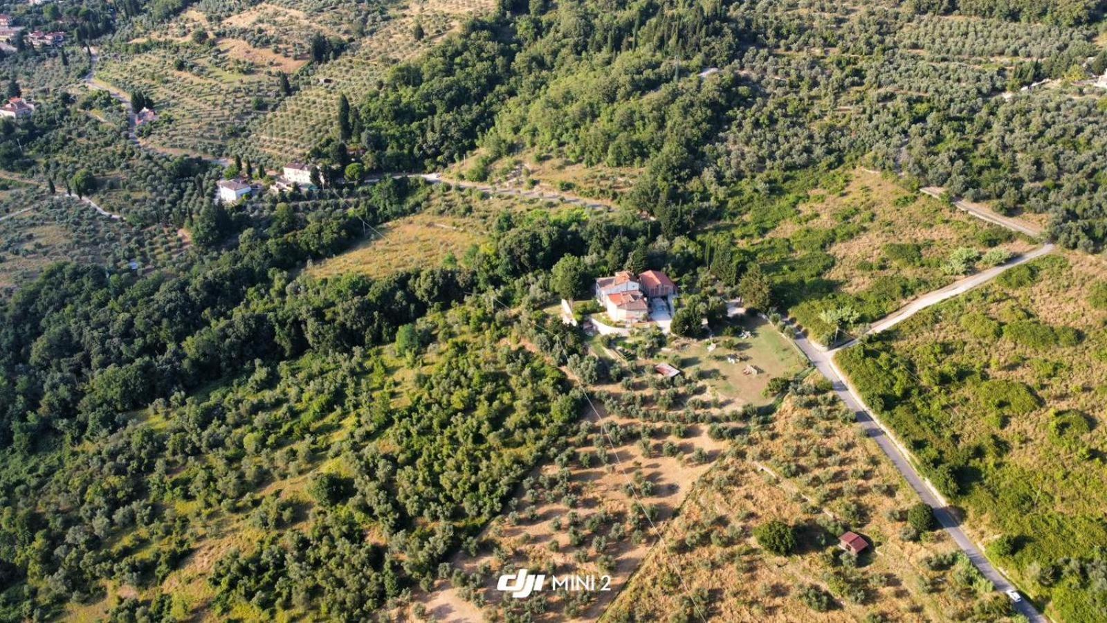 Florence Villa Violetta Bagno a Ripoli Eksteriør bilde